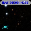 IRAS 20503+4236