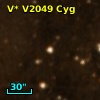 V* V2049 Cyg