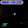 [M60] +43 239
