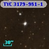 TYC 3179-981-1