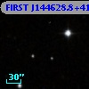 FIRST J144628.8+410307
