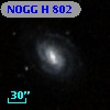 NOGG H  802