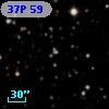 37P 59