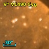 V* V1490 Cyg