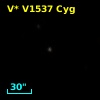 V* V1537 Cyg