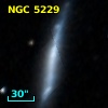 NGC  5229