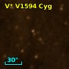 V* V1594 Cyg