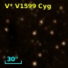 V* V1599 Cyg