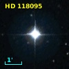 HD 118095