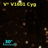 V* V1601 Cyg