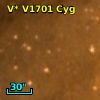 V* V1701 Cyg