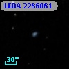 LEDA 2288081