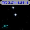 TYC 3174-1137-1