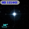 HD 115443