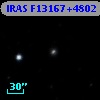 IRAS F13167+4802
