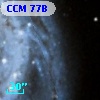CCM  77B