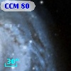 CCM  80