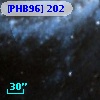 [PHB96] 202