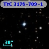 TYC 3178-709-1