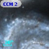 CCM   2