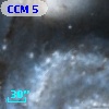 CCM   5