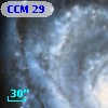 CCM  29