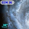 CCM  36