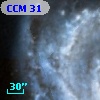 CCM  31