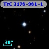 TYC 3178-981-1