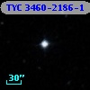TYC 3460-2186-1
