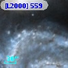 [L2000]  559