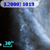 [L2000] 1019