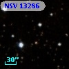 NSV 13286