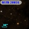 WSTB 28W31