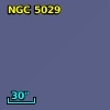 NGC  5029