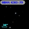 HBHA 4203-79
