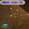 HBHA 4203-71