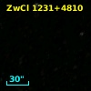ZwCl 1231+4810