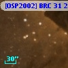 [OSP2002] BRC 31 24