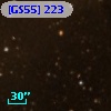 [GS55] 223