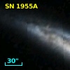 SN 1955A
