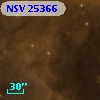 NSV 25366