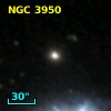 NGC  3950