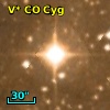V* CO Cyg