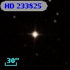 HD 233825