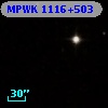 MPWK 1116+503