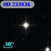 HD 233836