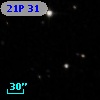 21P  31