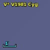 V* V1981 Cyg