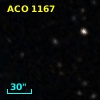 ACO  1167